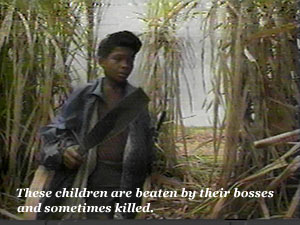 Dominican children sold as slaves to work in the cane fields.